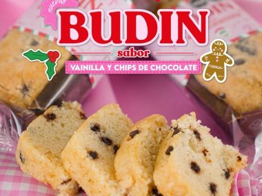 RINCÓN BUDIN VAINILLA CON CHIPS